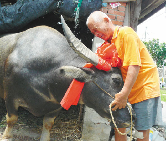 梁平抱住牛牛大哭